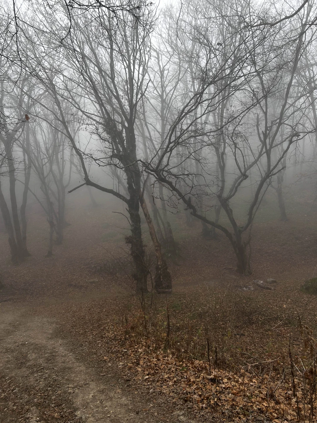Отзыв о экскурсии "Бештау: восхождение на любую из пяти вершин в удобное для вас время" — фото 2