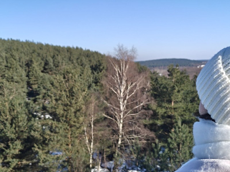 Отзыв о экскурсии "Куршская коса: земля древних куршей и великанши Неринги (из Зеленоградска)" — фото 2