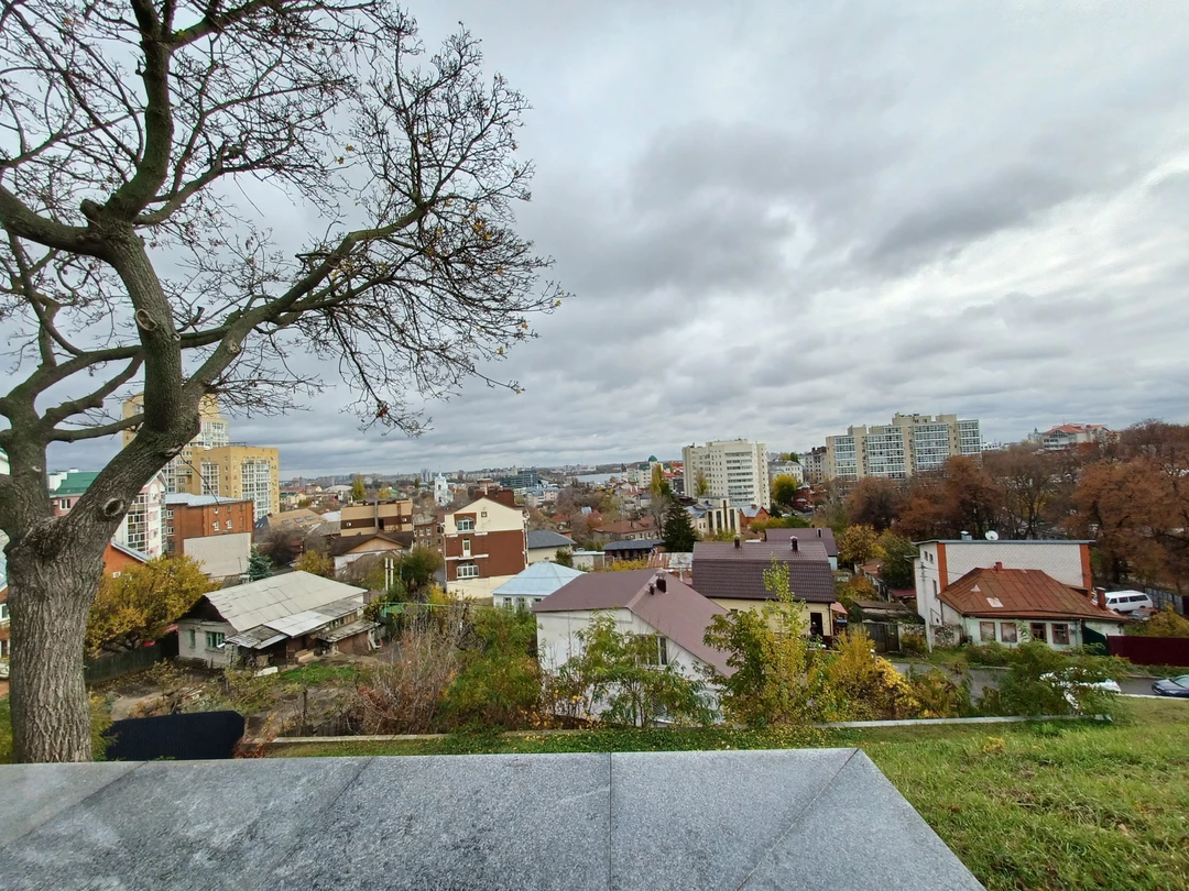 Отзыв о экскурсии "Обзорная авторская экскурсия по историческому центру Воронежа" — фото 3