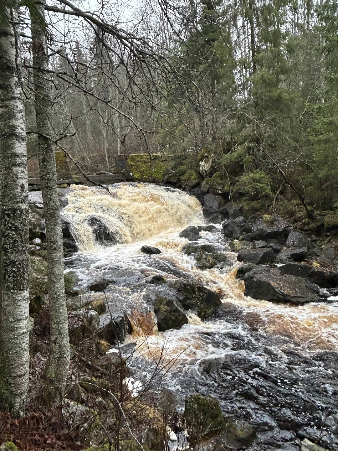 Отзыв о экскурсии "Ладожские шхеры и водопады Карелии за один день" — фото 6
