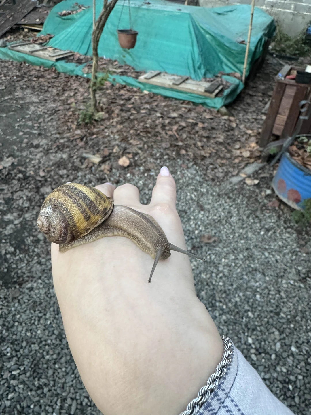 Фото путешественника — 3