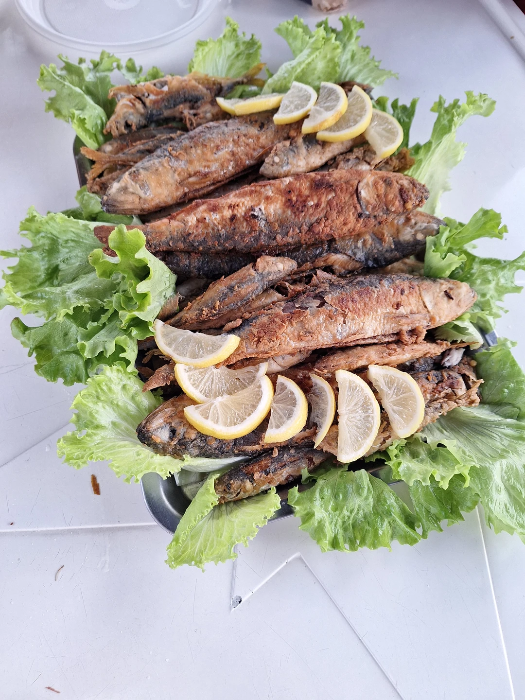 Отзыв о экскурсии "Трёхчасовая морская рыбалка в Адлере" — фото 1