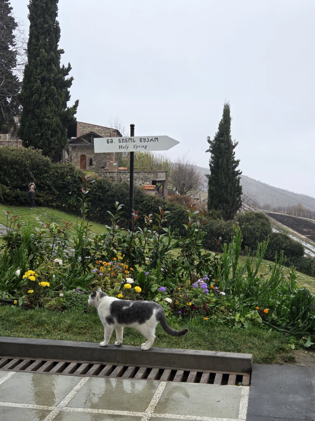 Фото путешественника — 4