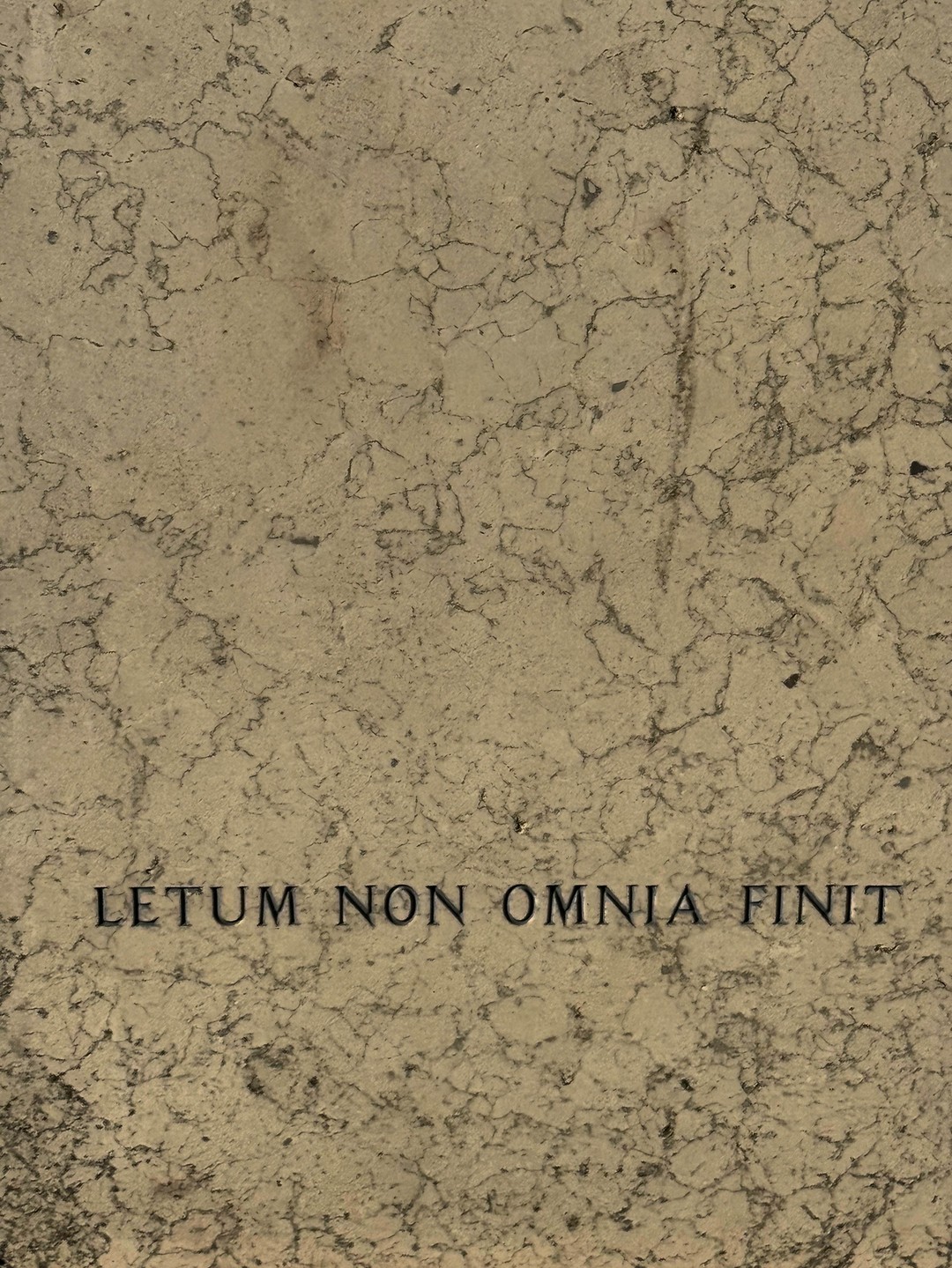 Фото путешественника — 4