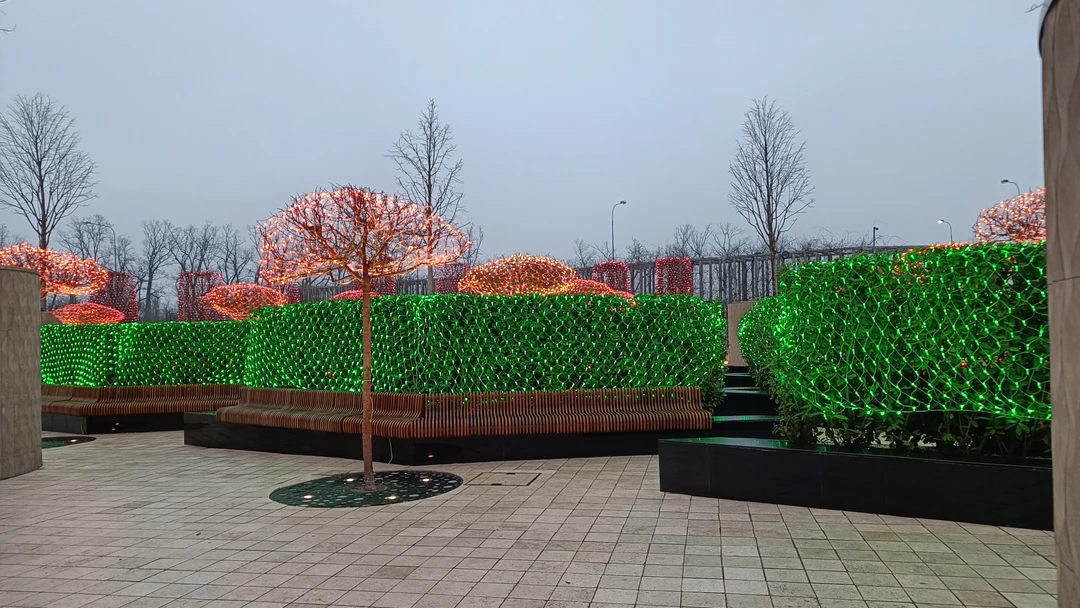 Отзыв о экскурсии "Парк Галицкого: где ты паришь, даже не взлетая" — фото 1