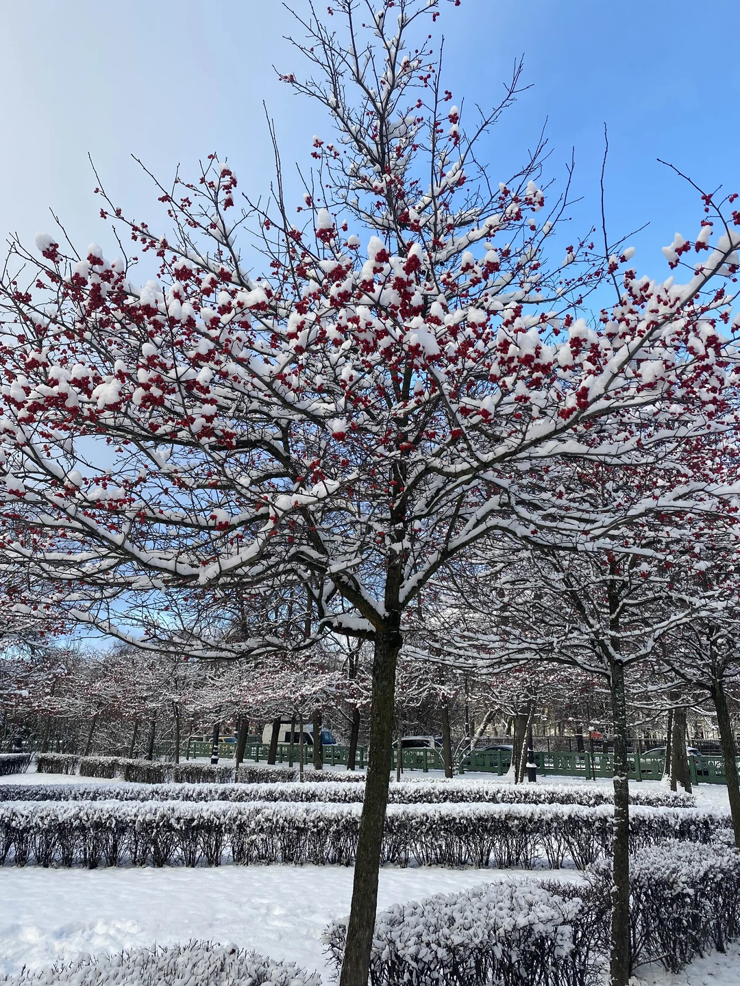Отзыв о экскурсии "Первое свидание с Кронштадтом" — фото 2