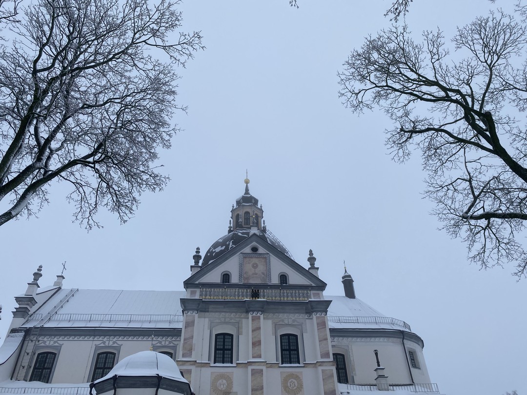 Отзыв о экскурсии "Замки Беларуси: групповая экскурсия в Мир и Несвиж из Минска" — фото 3
