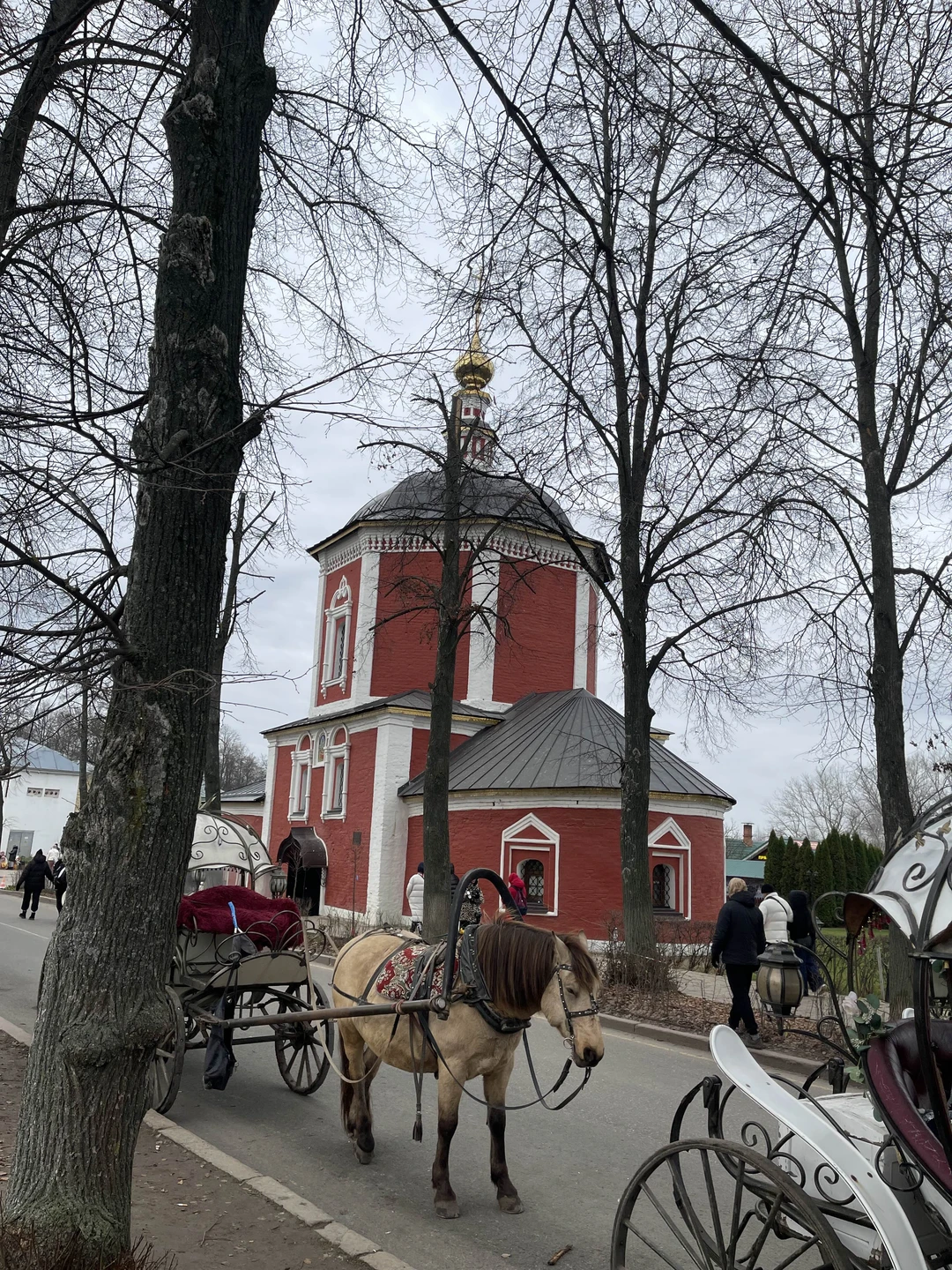 Отзыв о экскурсии "Кремлёвские тайны Суздаля" — фото 2