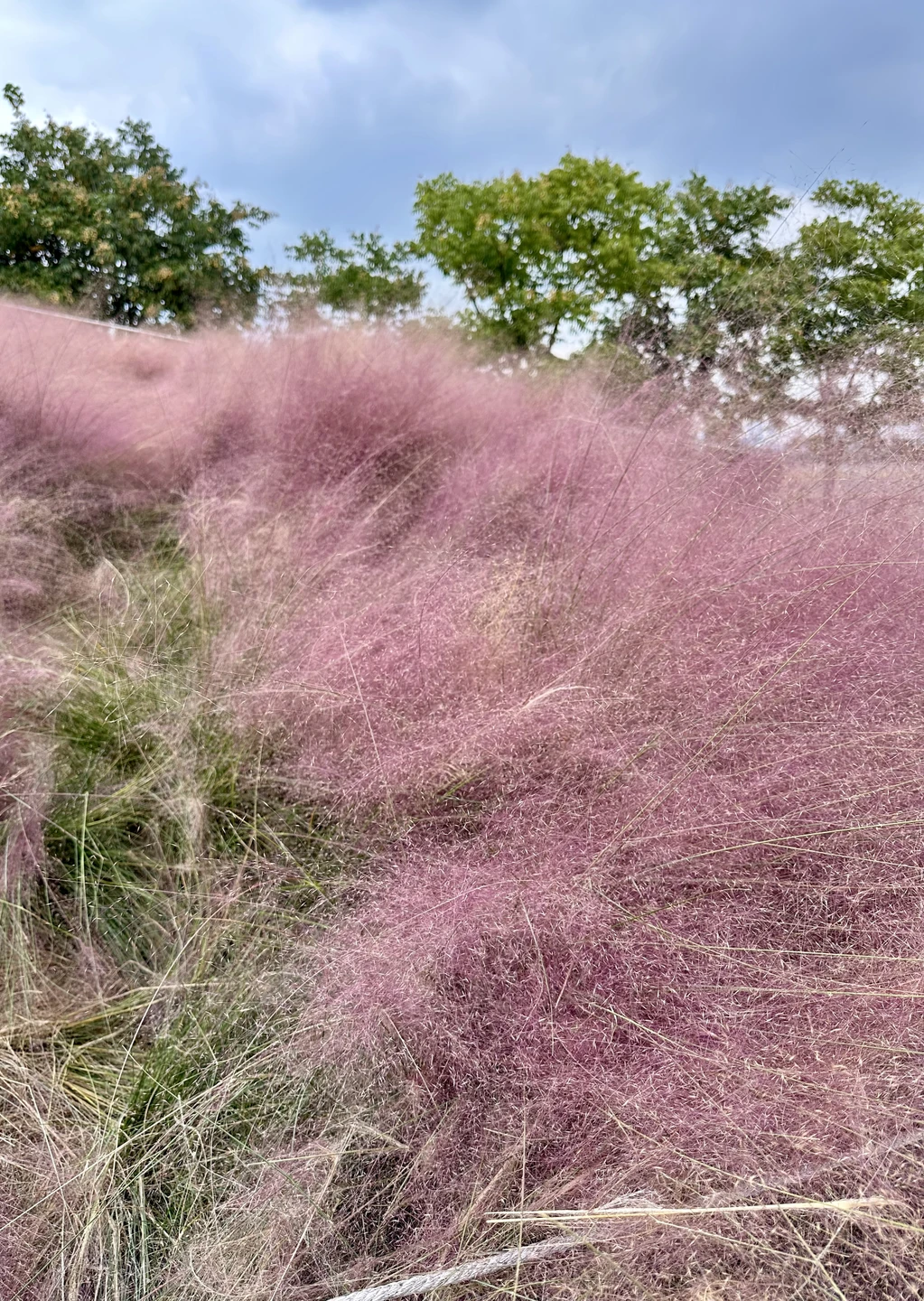 Фото путешественника — 5
