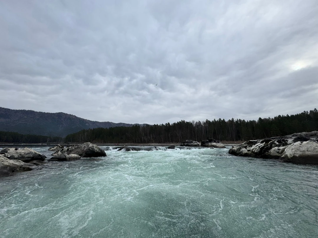 Отзыв о экскурсии "Дышать зимним Алтаем" — фото 5