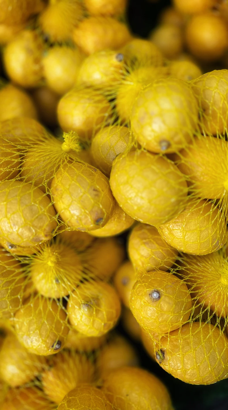 Фото путешественника — 4