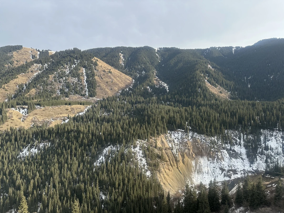 Отзыв о экскурсии "Природа Казахстана: 5 лучших мест за 1 день из Алматы" — фото 7