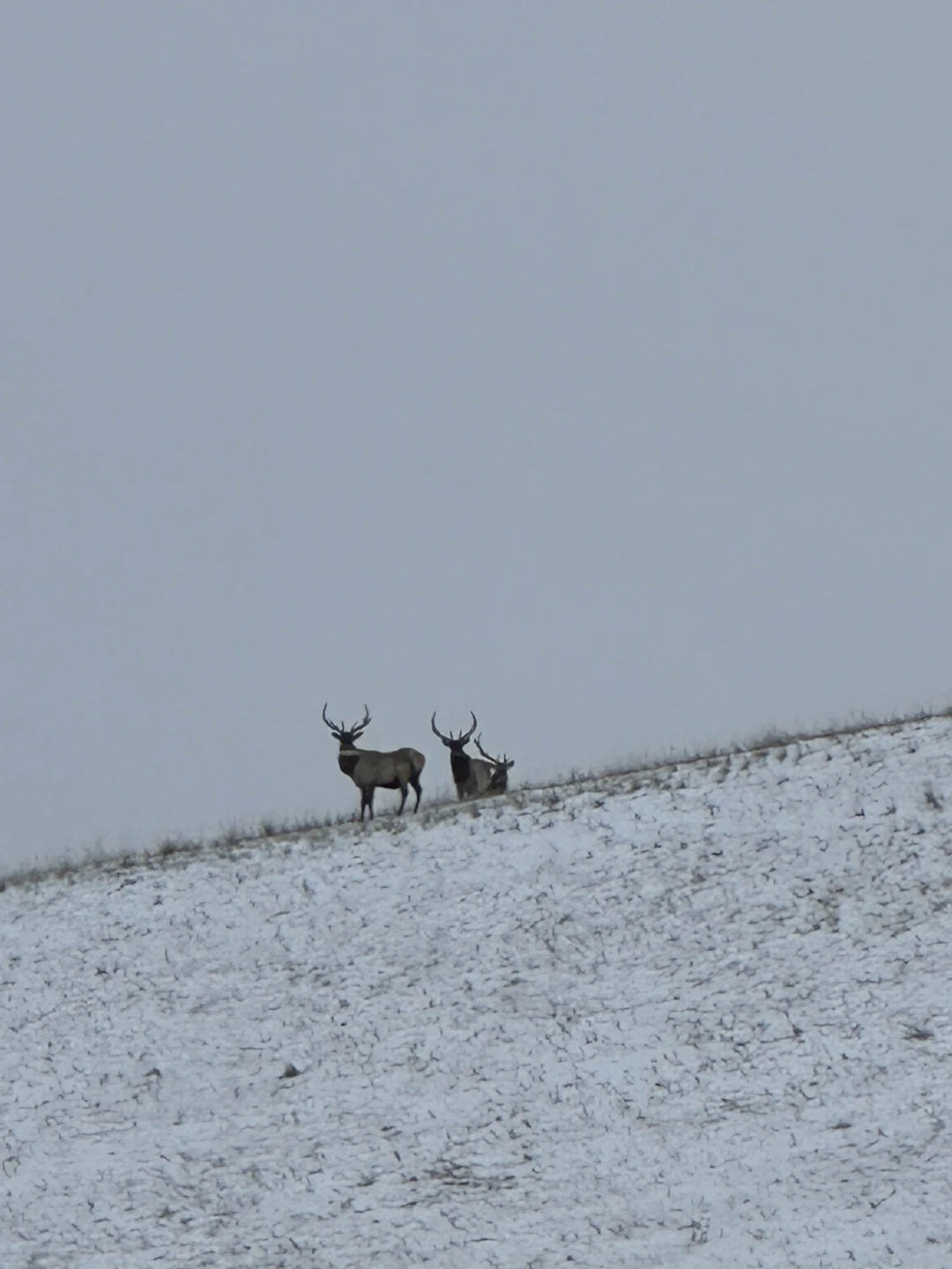 Отзыв о экскурсии "Зимний Ольхон: чистый лёд, пузырьки и гроты" — фото 4