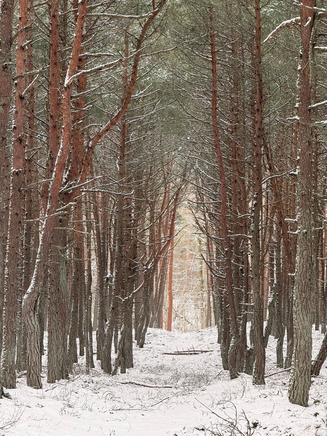 Фото путешественника — 4