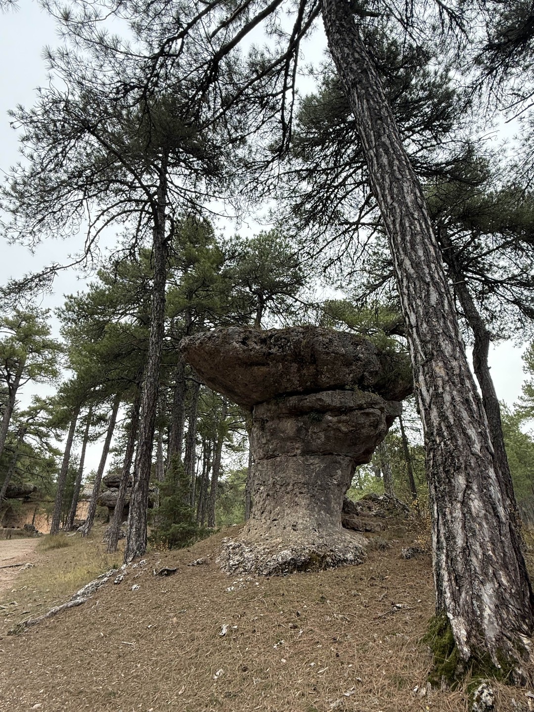 Отзыв о экскурсии "«Висячие дома» Куэнки и Зачарованный город" — фото 8