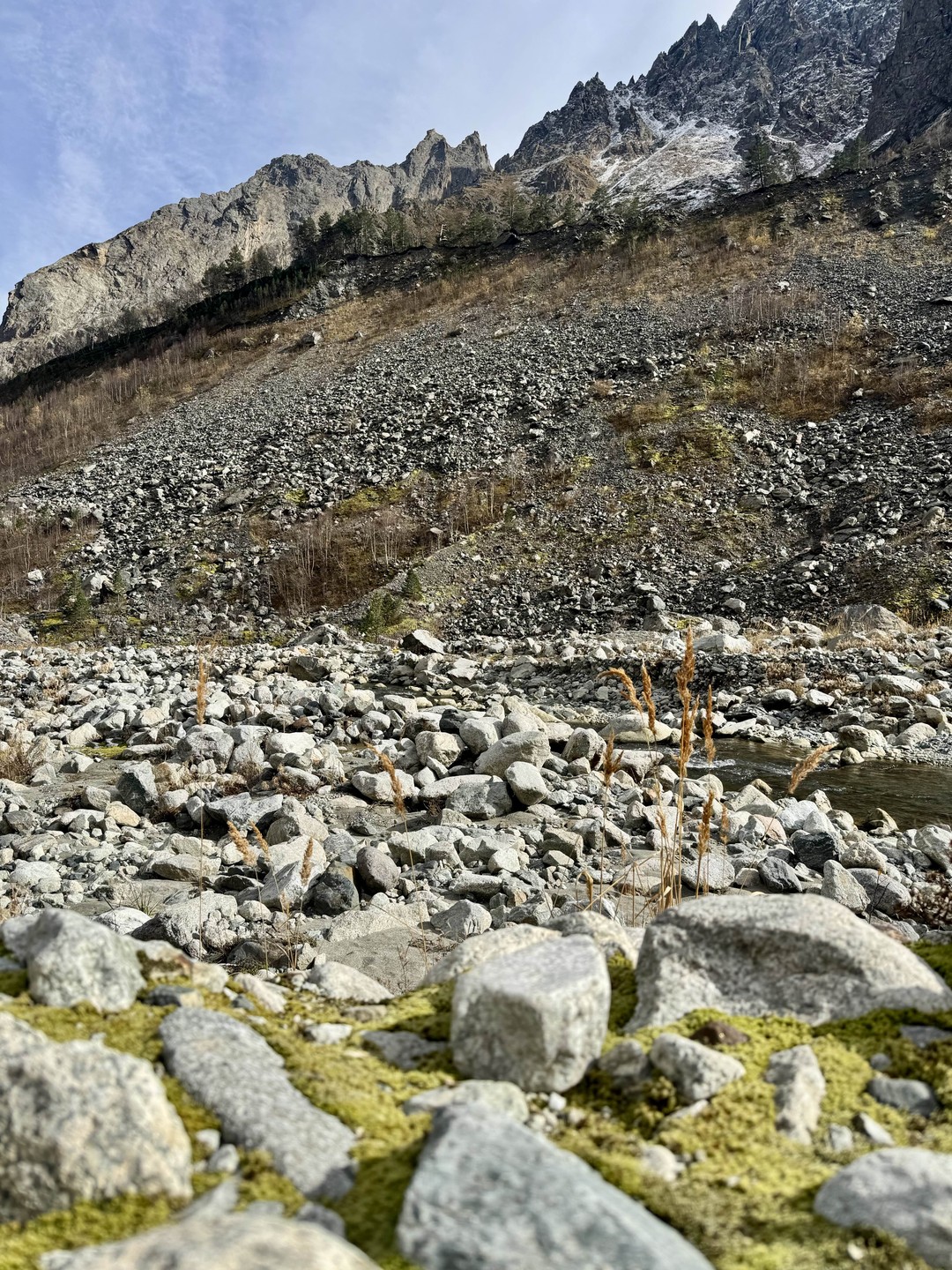 Отзыв о экскурсии "Треккинг к Цейскому леднику" — фото 1