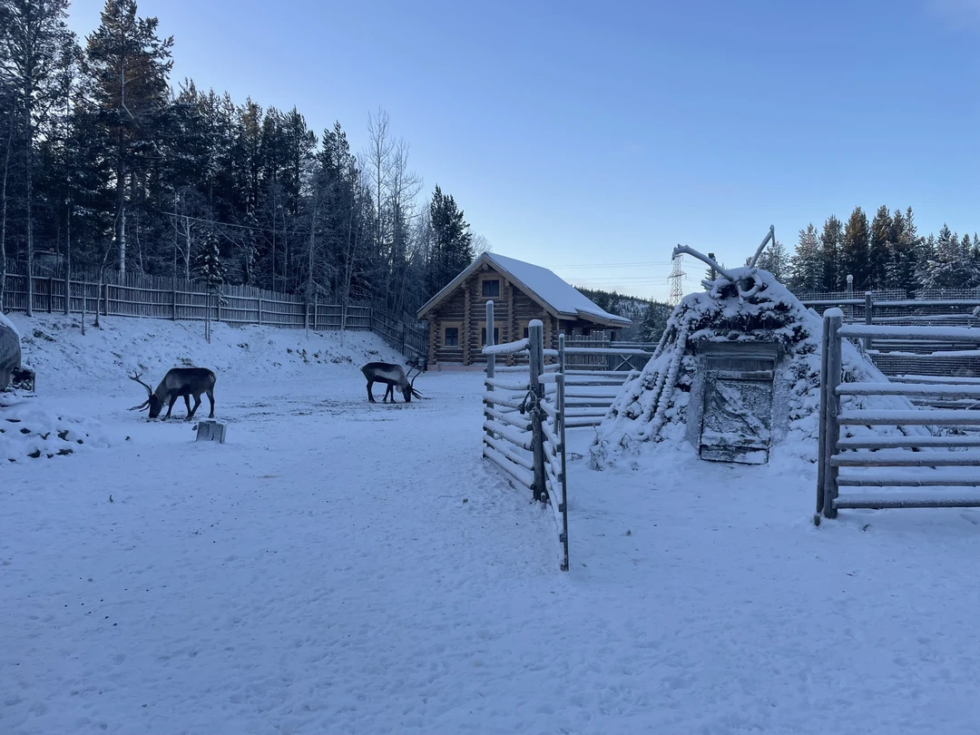 Отзыв о экскурсии "Море, горы и быт местных: всё главное на Кольском только для вашей компании" — фото 5
