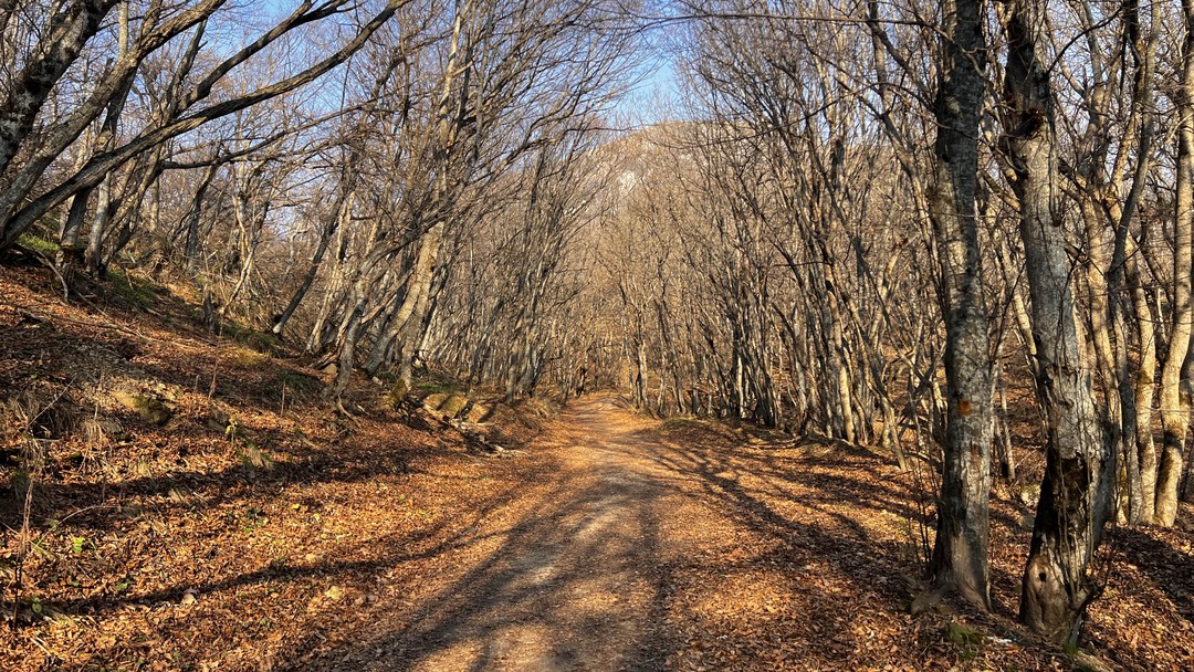 Отзыв о экскурсии "Пятигорские пейзажи: фотосессия на горе Бештау (из Ессентуков)" — фото 5