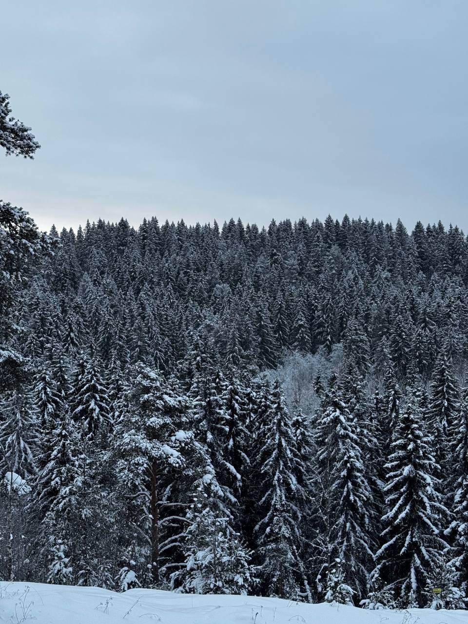 Отзывы об экскурсиях в Сортавале