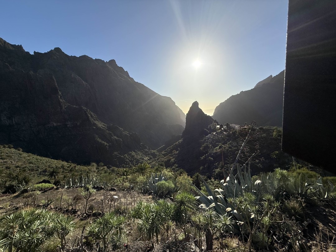 Отзыв о экскурсии "Тенерифе — любовь с первого взгляда" — фото 1