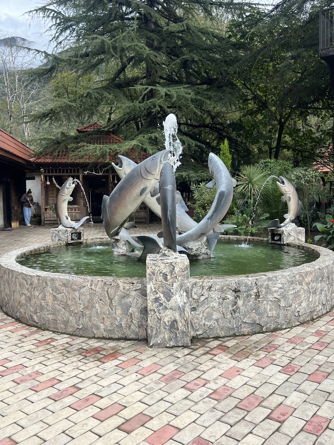 Отзыв о экскурсии "Большое знакомство с Абхазией (из Пицунды)" — фото 4