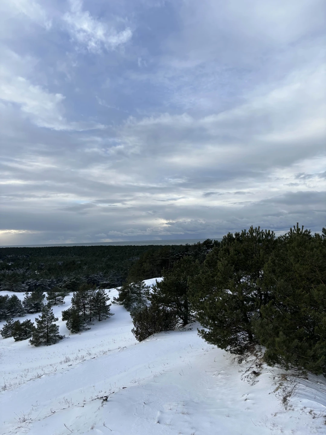 Отзыв о экскурсии "Утренняя Куршская коса из Зеленоградска на автобусе" — фото 3