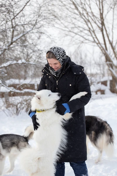 Отзыв о экскурсии "В гости к сибирским хаски и якутским лайкам" — фото 2