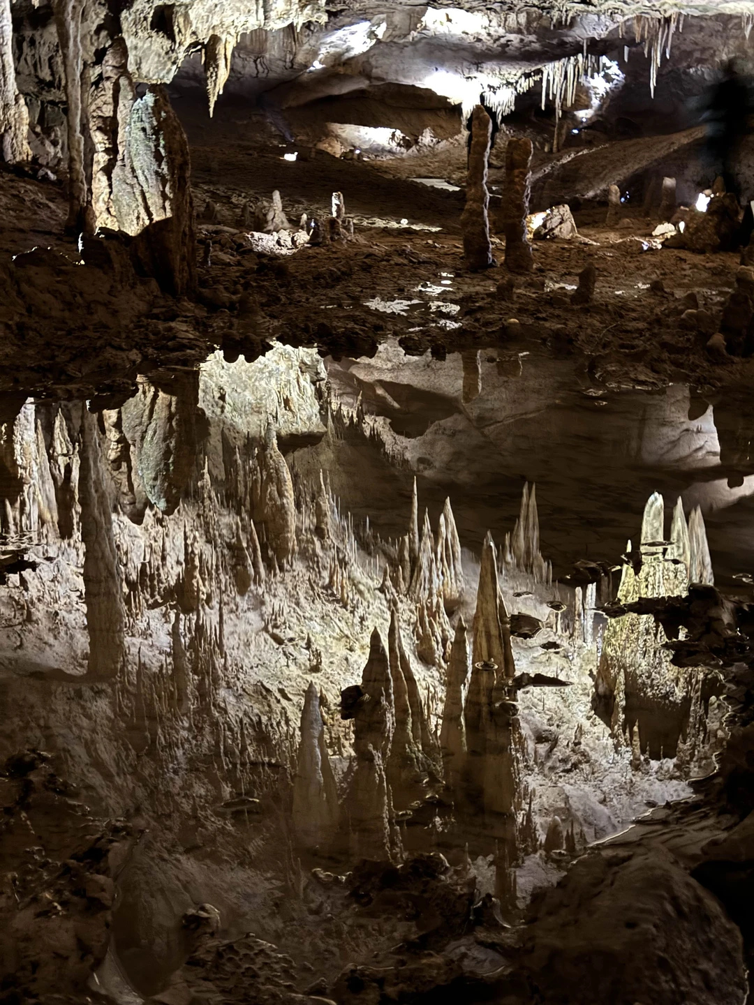 Отзыв о экскурсии "Каньоны и водопады — тайные сокровища западной Грузии" — фото 3