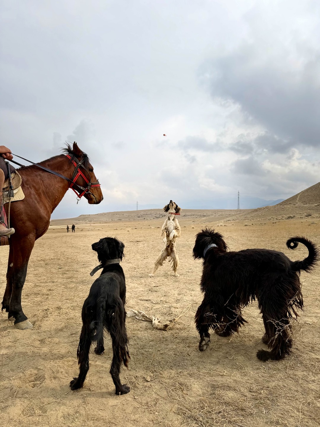 Отзыв о экскурсии "Два незабываемых дня в окрестностях Иссык-Куля" — фото 4
