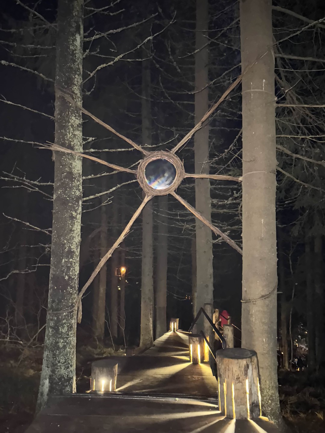 Отзыв о экскурсии "От каменного века до викингов, от Кижей до Рускеалы: индивидуальный тур по Карелии" — фото 3