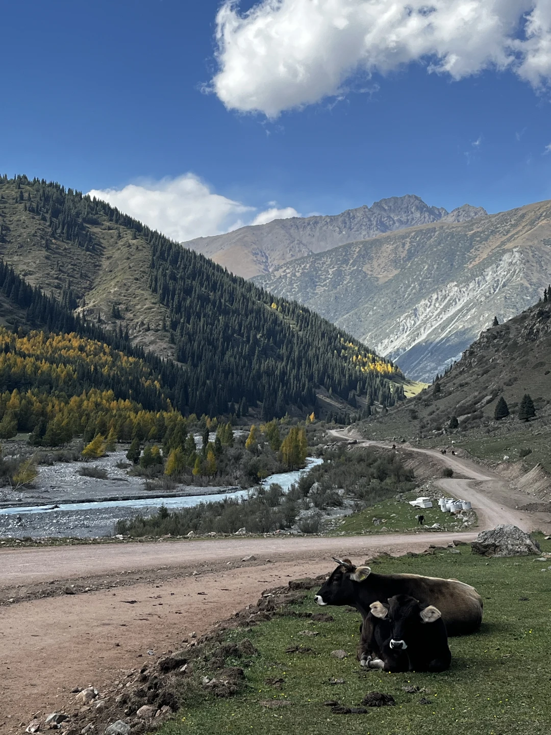 Отзыв о экскурсии "По берегам Иссык-Куля на джипе в тёплой компании" — фото 3