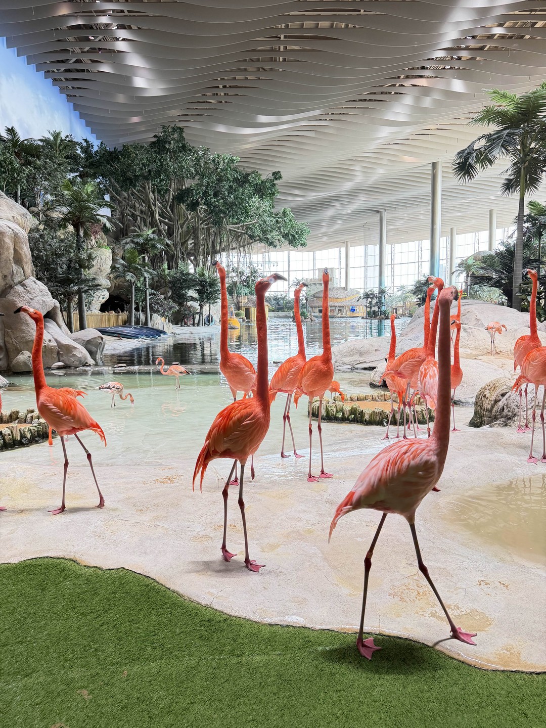 Отзыв о экскурсии "Абу-Даби — столица для всех!" — фото 3