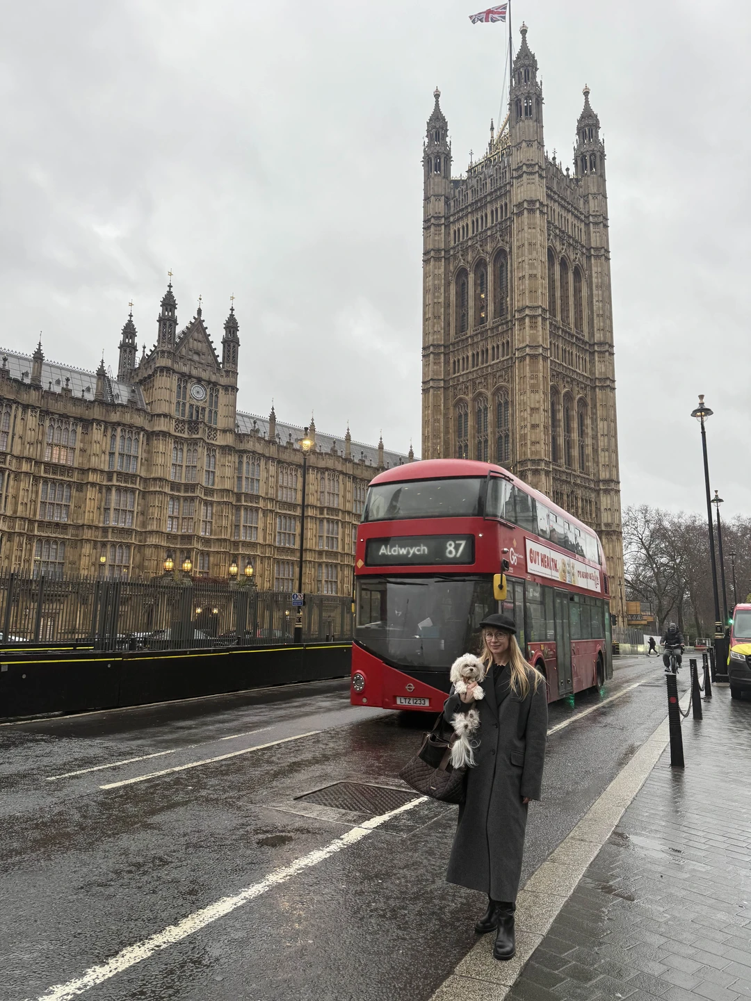 Отзыв о экскурсии "Большая обзорная экскурсия по Лондону" — фото 1