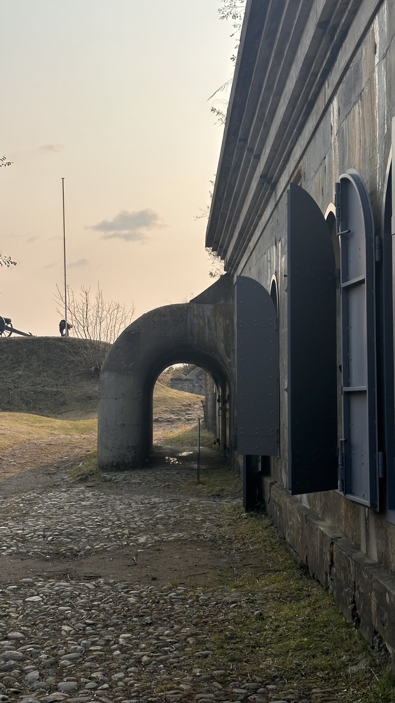 Отзыв о экскурсии "Топ-5 мысов острова Русский!" — фото 3