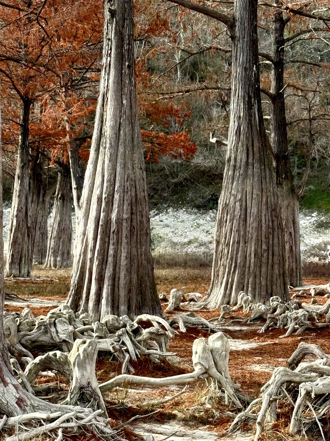 Фото путешественника — 3