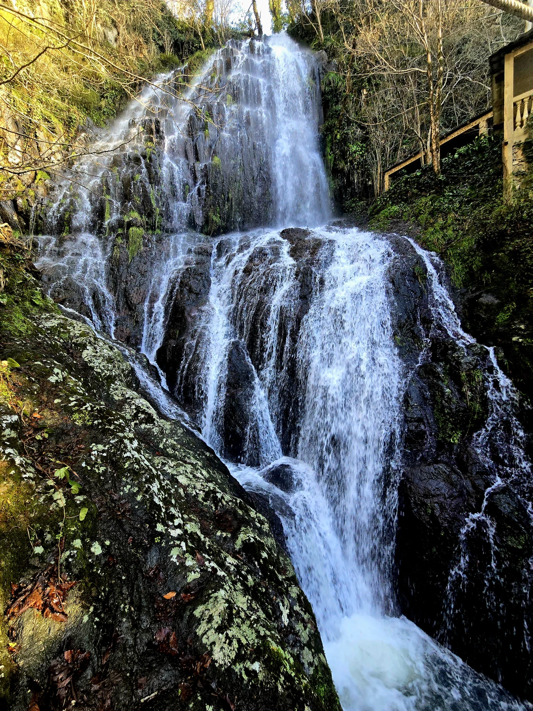 Отзыв о экскурсии "Экскурсия в Горную Аджарию с застольем и народными танцами (всё включено)" — фото 3