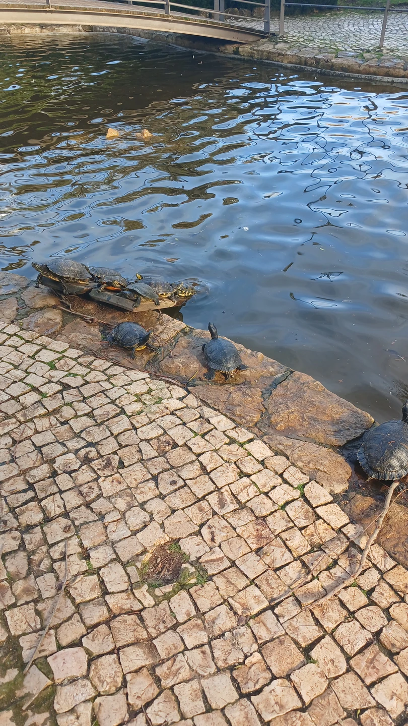 Отзыв о экскурсии "К мысу Рока и рыбацкой деревеньке" — фото 5