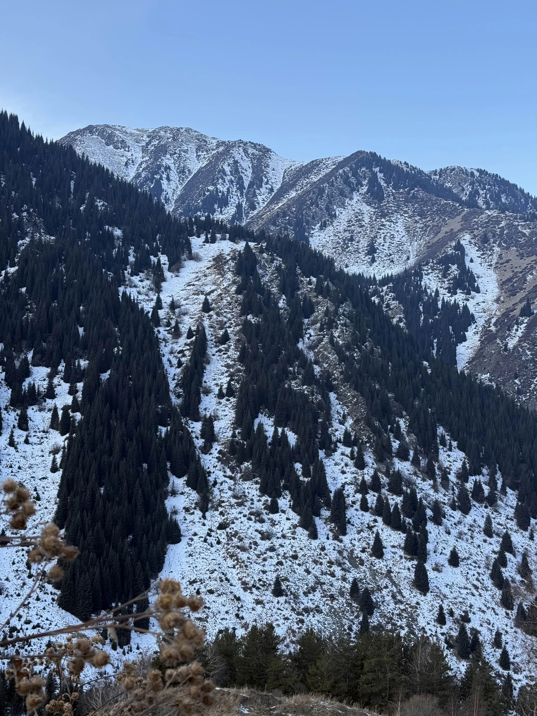 Отзыв о экскурсии "Путешествие к Большому Алматинскому озеру — из Алматы" — фото 3