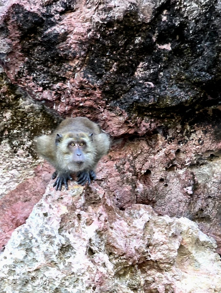 Отзыв о экскурсии "Пхукет all inclusive: приключения и комфорт" — фото 5