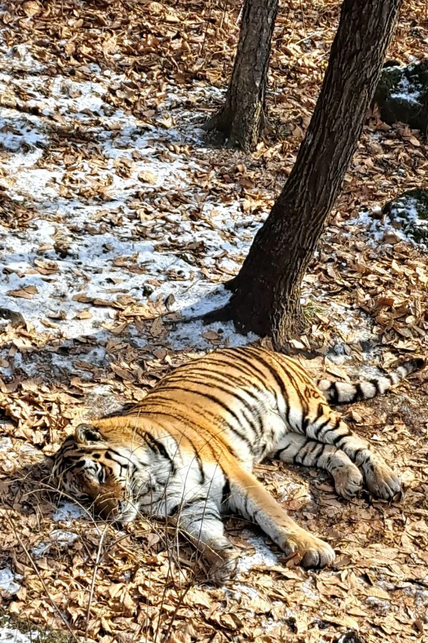 Фото путешественника — 4