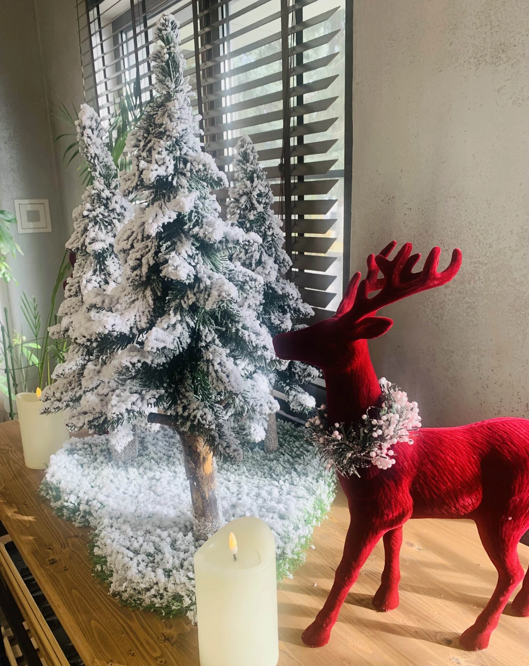 Фото путешественника — 6