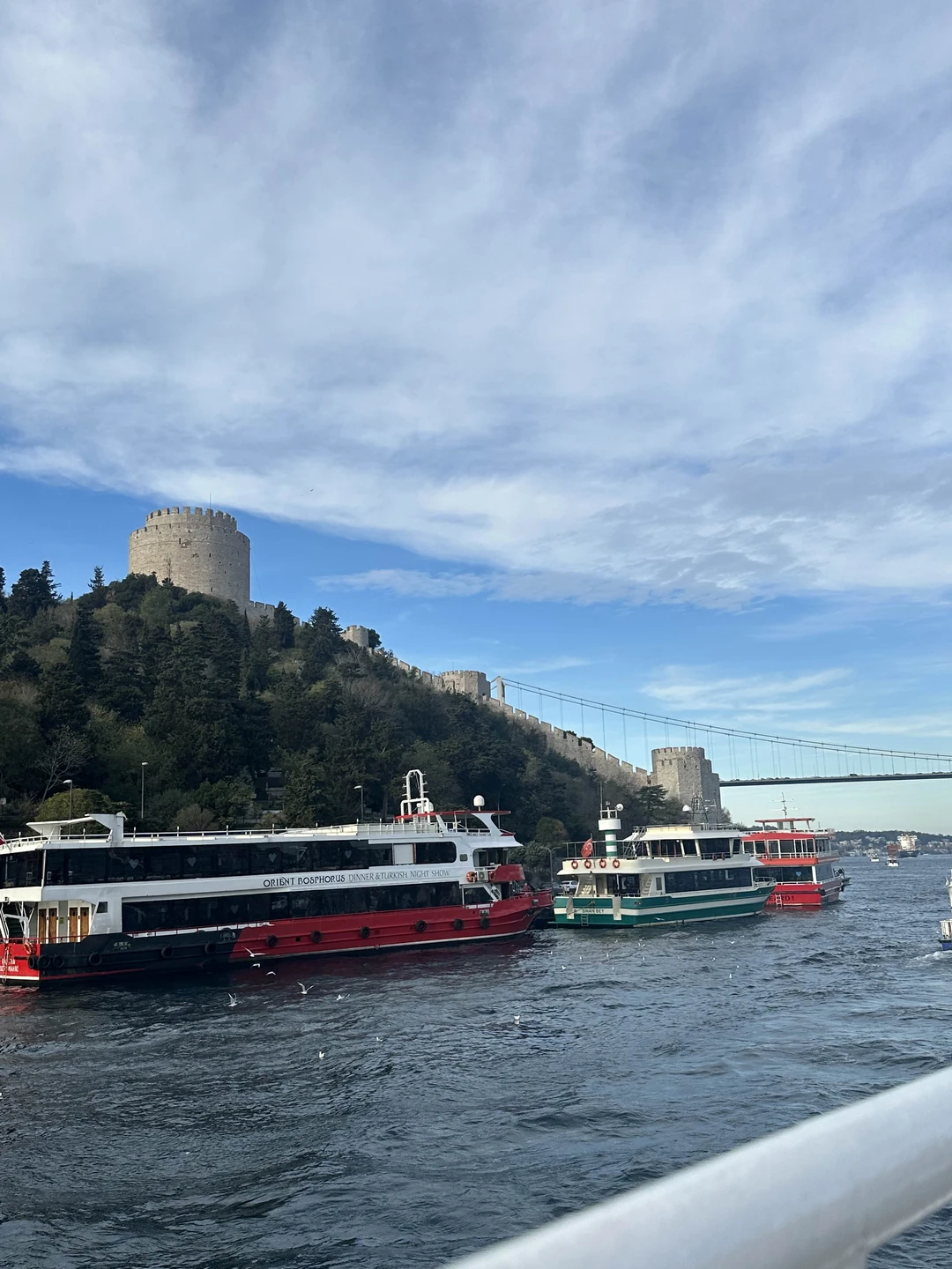 Отзыв о экскурсии "Знакомство со Стамбулом: Старый город + прогулка по Босфору" — фото 5