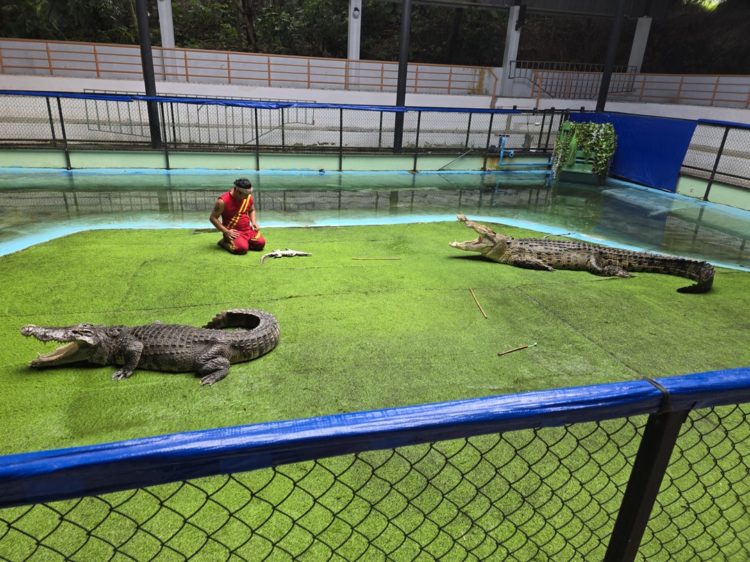 Отзыв о экскурсии "Влюбиться в Пхукет за 1 день!" — фото 5