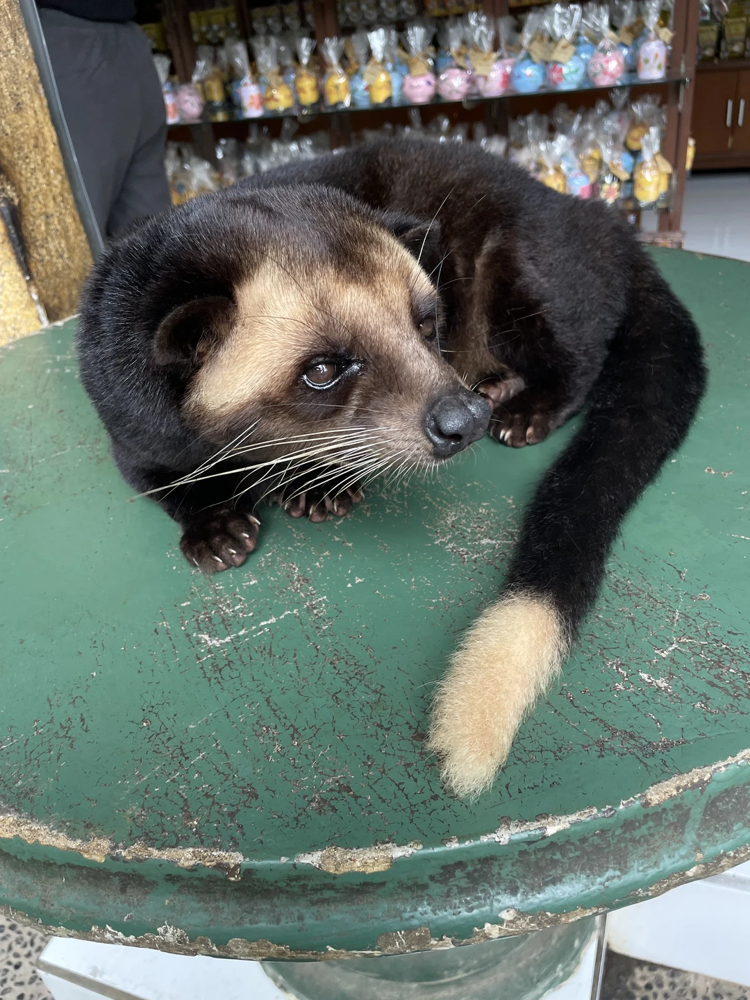Отзыв о экскурсии "Все краски Бали" — фото 1