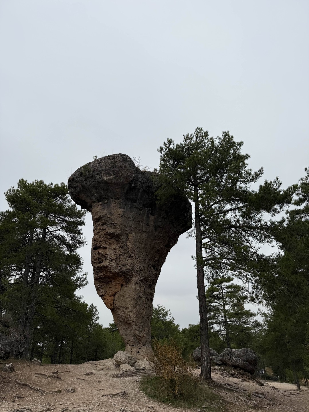 Отзыв о экскурсии "«Висячие дома» Куэнки и Зачарованный город" — фото 6