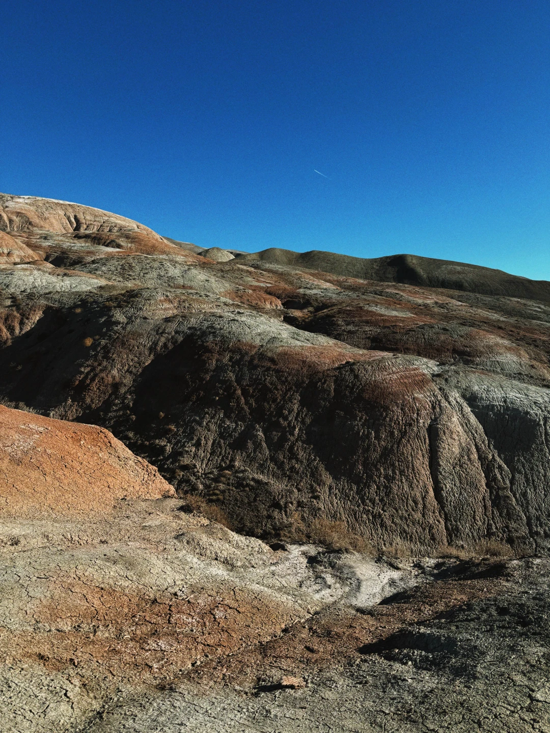Отзыв о экскурсии "Яркость на максимум: розовое озеро, марсианские пейзажи и пикник на горе" — фото 5