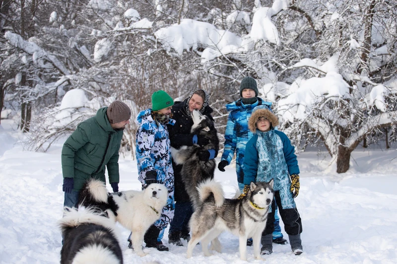 Отзыв о экскурсии "В гости к сибирским хаски и якутским лайкам" — фото 6