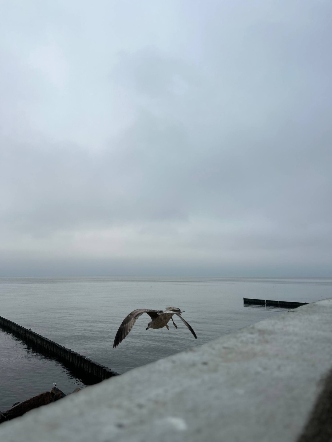 Отзывы об отдыхе по Калининградской области