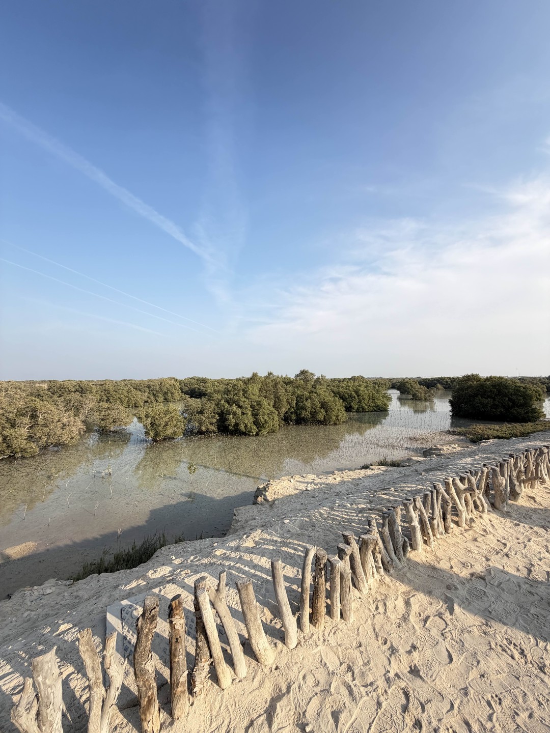 Отзыв о экскурсии "Абу-Даби — столица для всех!" — фото 2