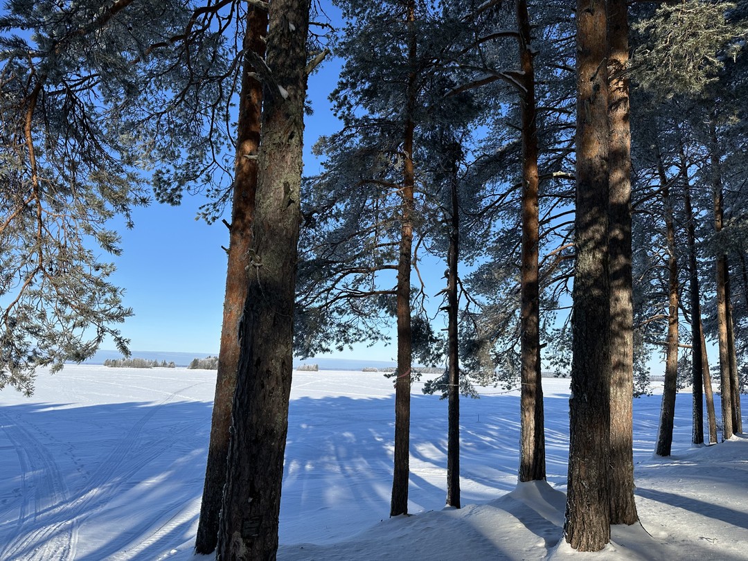 Фото путешественника — 4